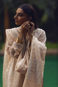 Beige Chikankari & Mirror Shirt & Dupatta