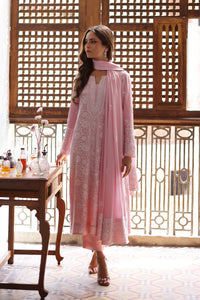 Blush Pink Chikan Kari Kameez and Trouser