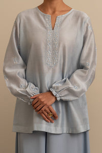 Ice Blue Chikankari Top