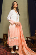 Load image into Gallery viewer, Aafrinish by Niazi Amal Abedi Shaded Peach Chikankari Kurta Nadir Toosy
