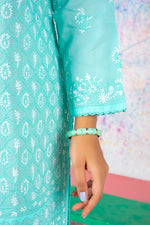 Load image into Gallery viewer, Sea Green Chikan Kari Kurta
