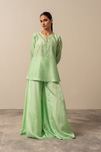 Pistachio Green Chikankari Top