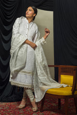 Load image into Gallery viewer, White &amp; Silver Chikankari Kurta &amp; Dupatta
