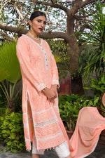 Load image into Gallery viewer, Aafrinish by Niazi Ekra Faiz Elegant Coral Chikankari and Mirror Work Kurta Nadir Toosy
