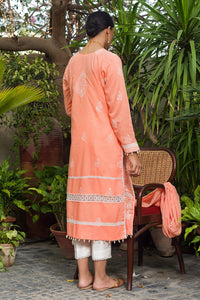 Aafrinish by Niazi Ekra Faiz Elegant Coral Chikankari and Mirror Work Kurta Nadir Toosy